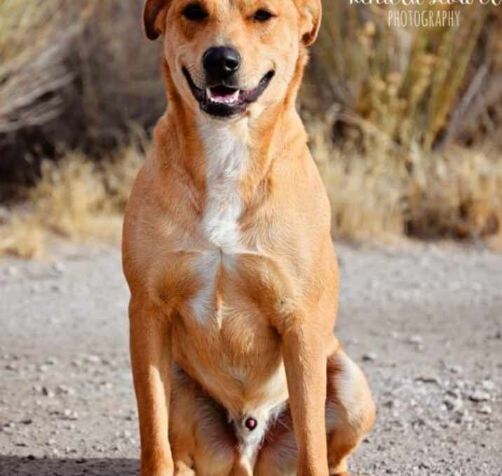 Photo of Big Guy