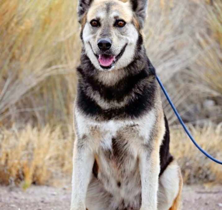 Photo of Lulu