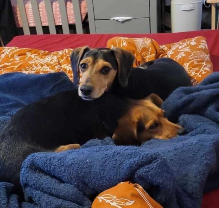 Photo of Copper