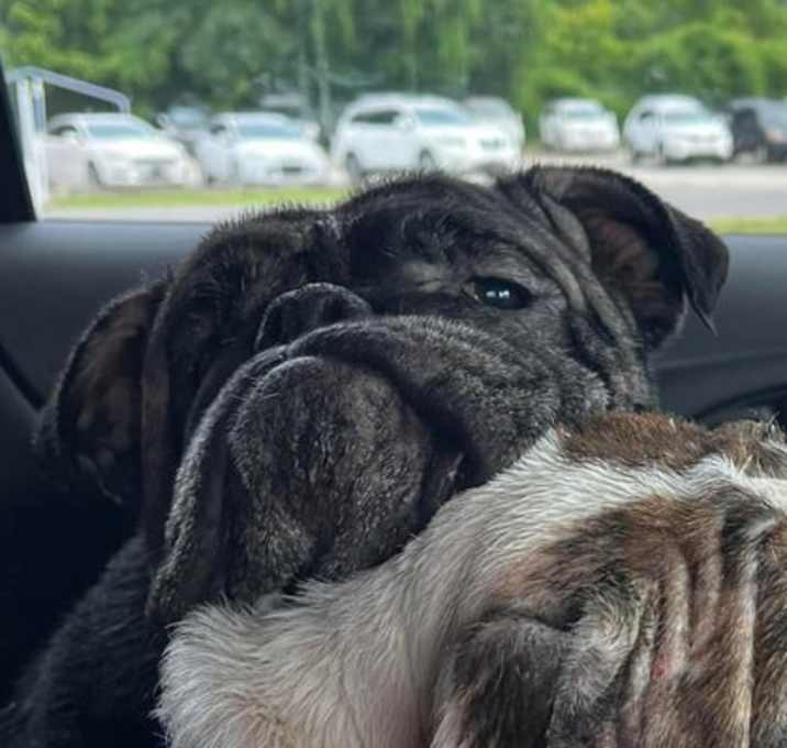 Photo of Lilah