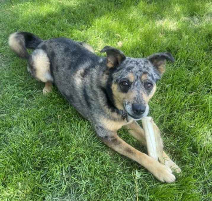 Photo of Kyah