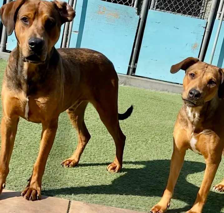 Photo of EMBER & BAILEY
