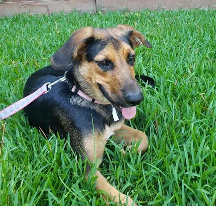 Photo of Remi