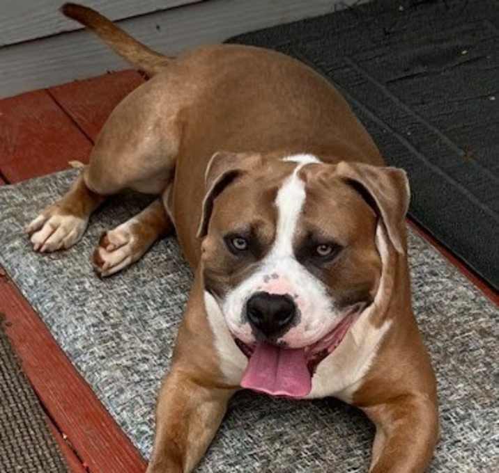Photo of Cash