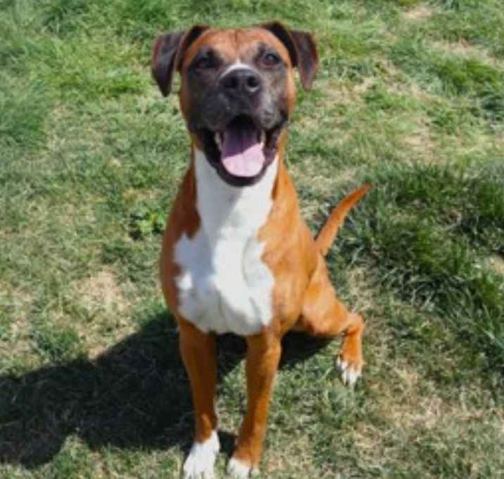 Photo of DUKE