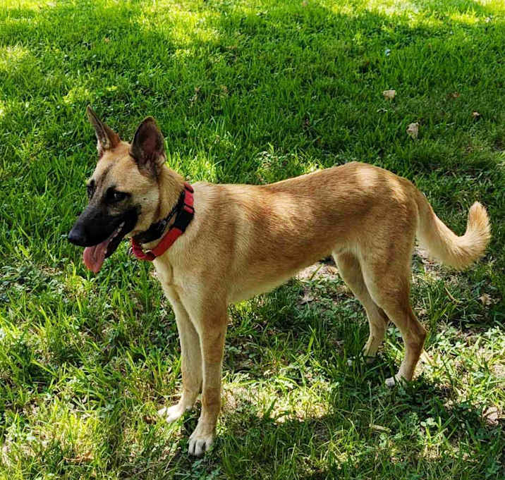 Photo of Remi