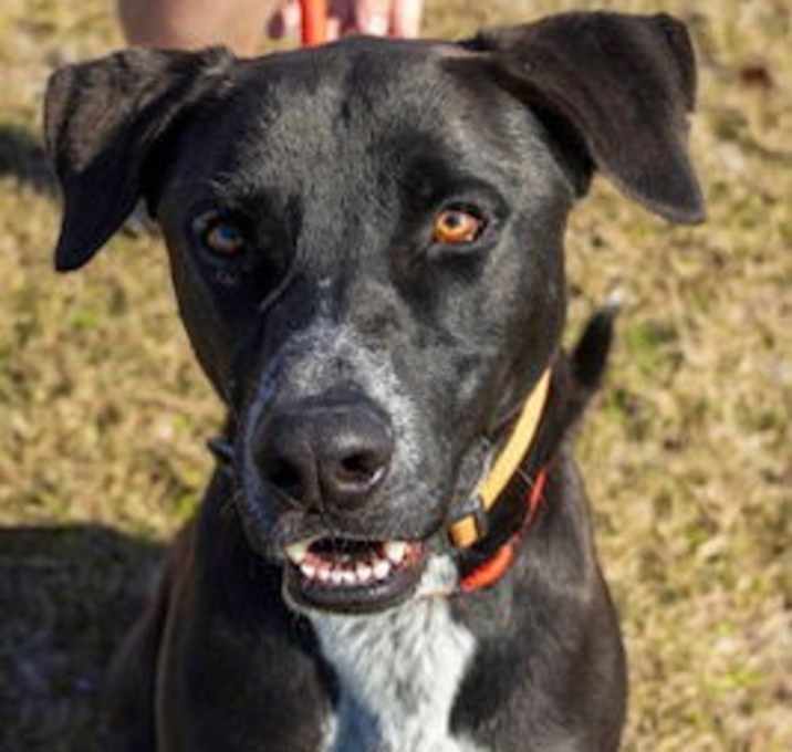 Photo of Hero. (Billy)