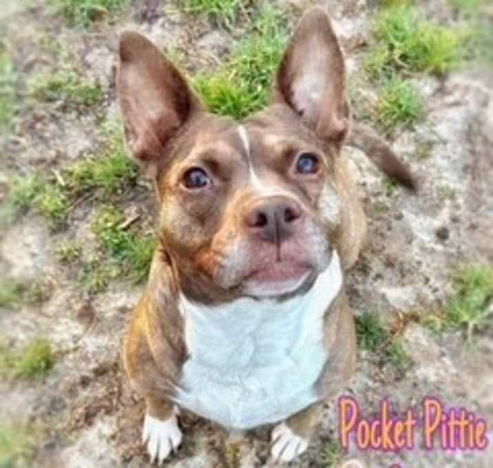 Photo of Coco