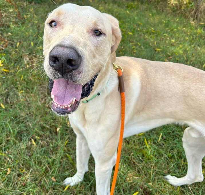 Photo of GHOST
