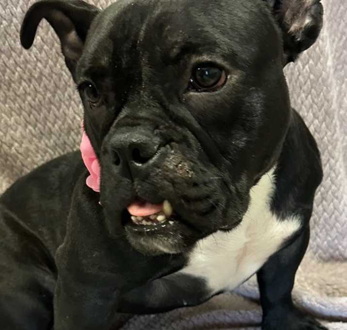 Photo of Nellie