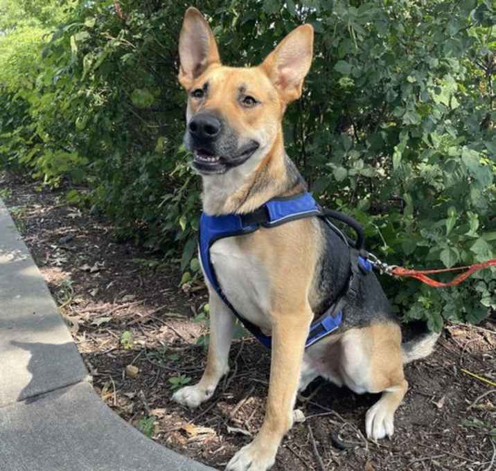 Photo of SAMMIE
