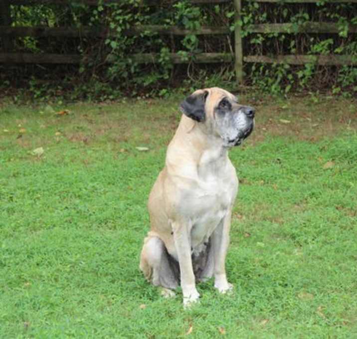 Photo of Izzabella