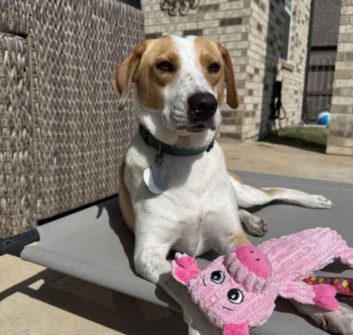 Photo of Maggy