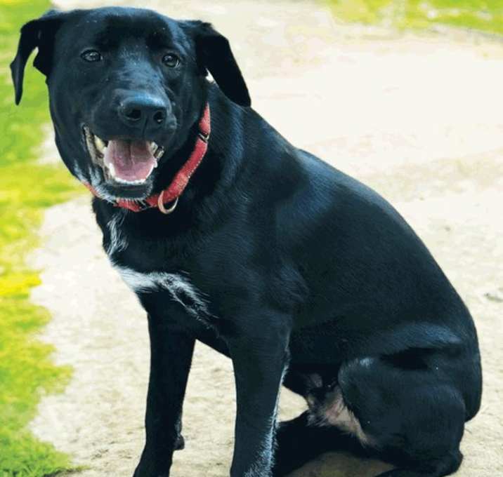 Photo of Smidge