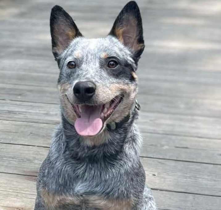 Photo of Leroy