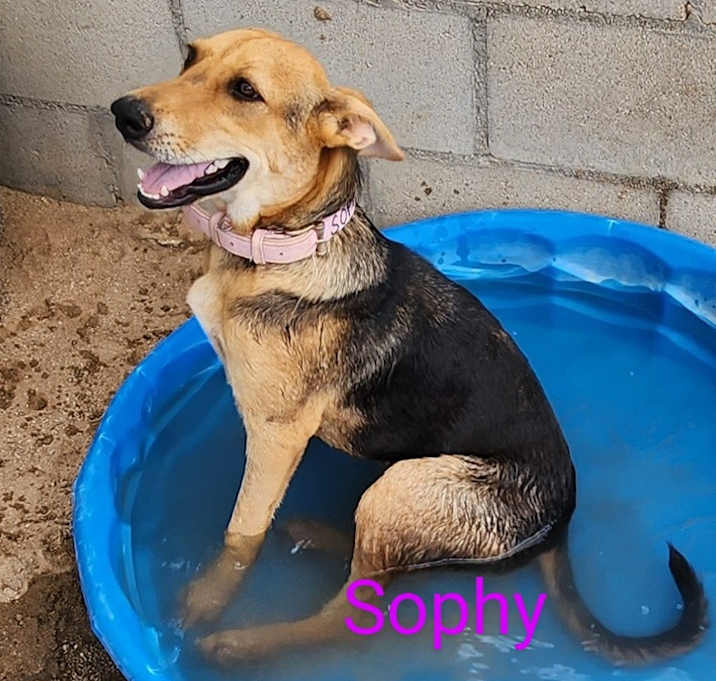 Photo of Sophie