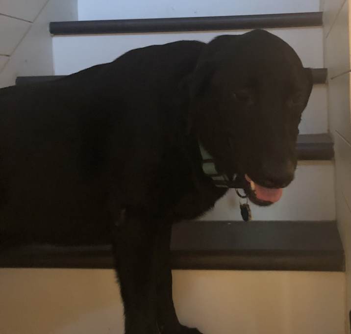 Photo of Asher