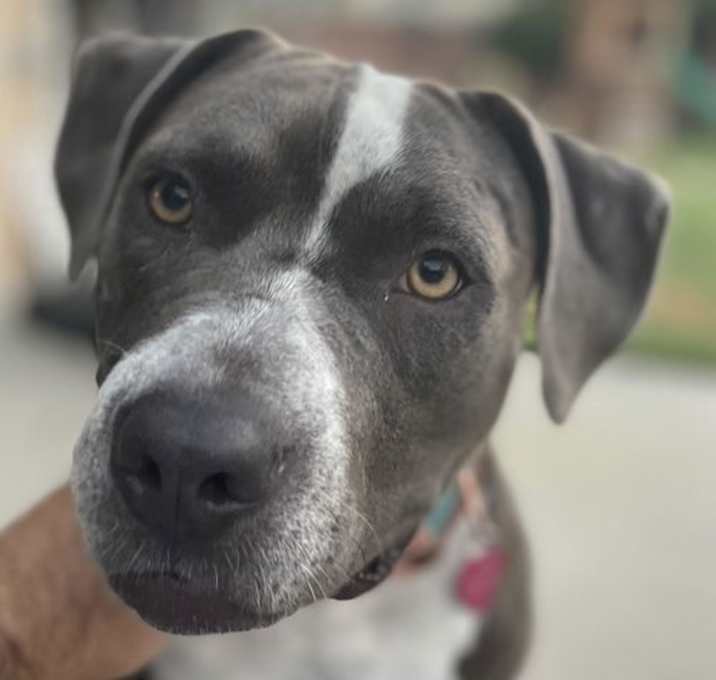 Photo of GREYCIE