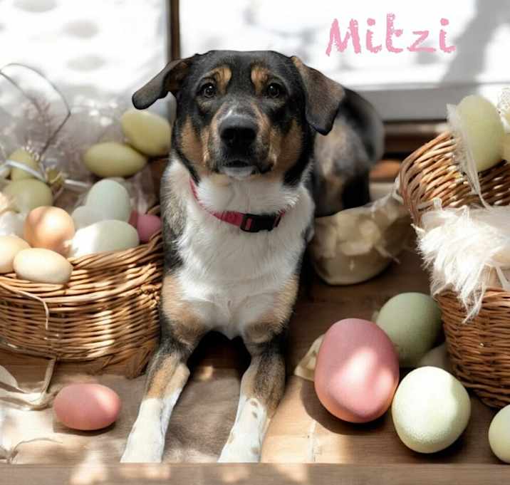 Photo of Mitzi