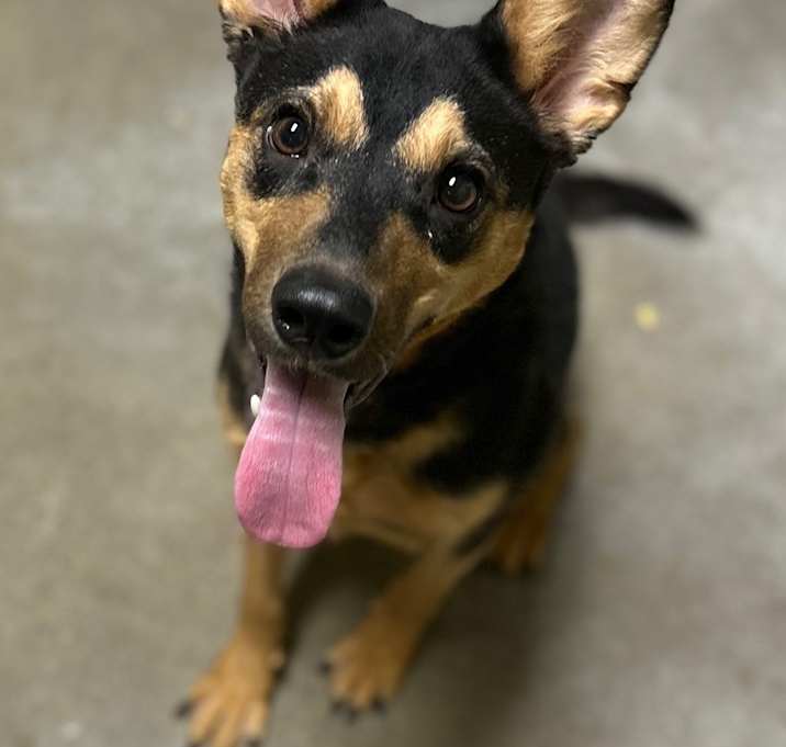 Photo of Annie