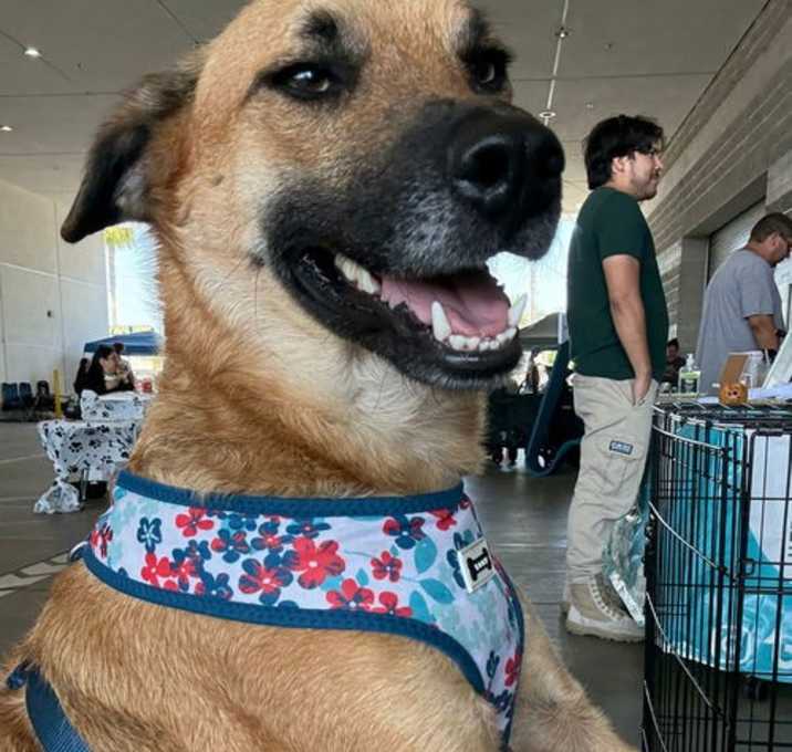 Photo of Balu