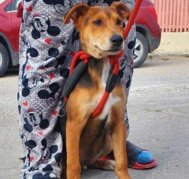 Photo of Argus