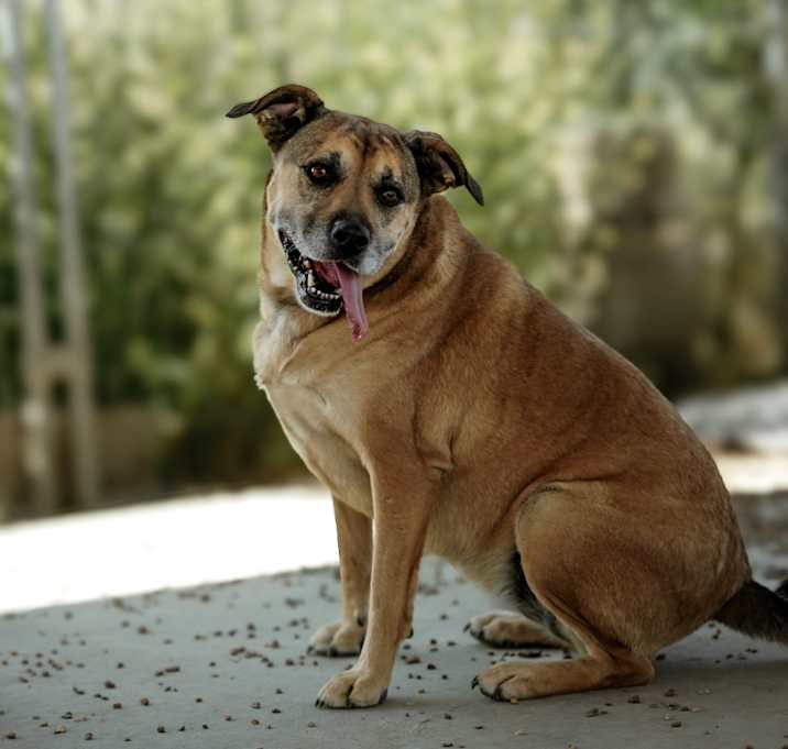 Photo of Dakota