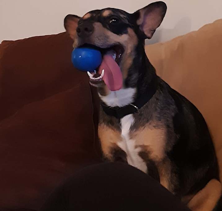 Photo of Lucas