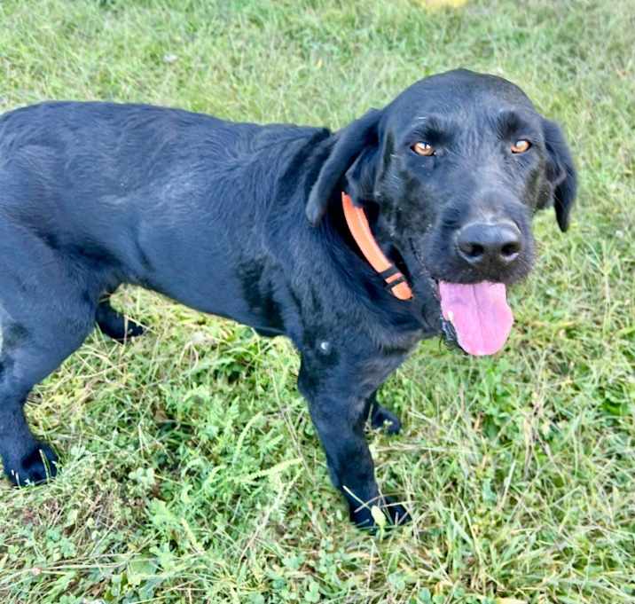 Photo of Sammy