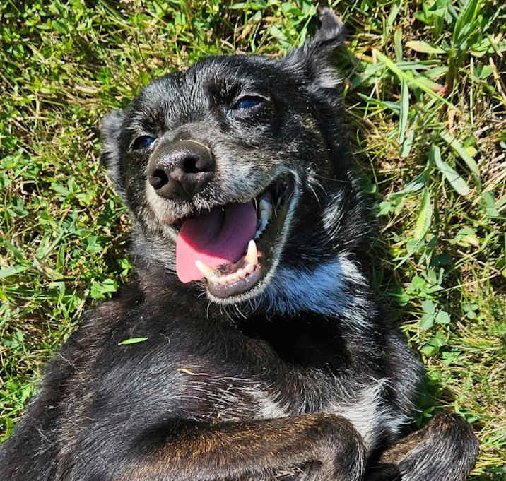 Photo of Oakley