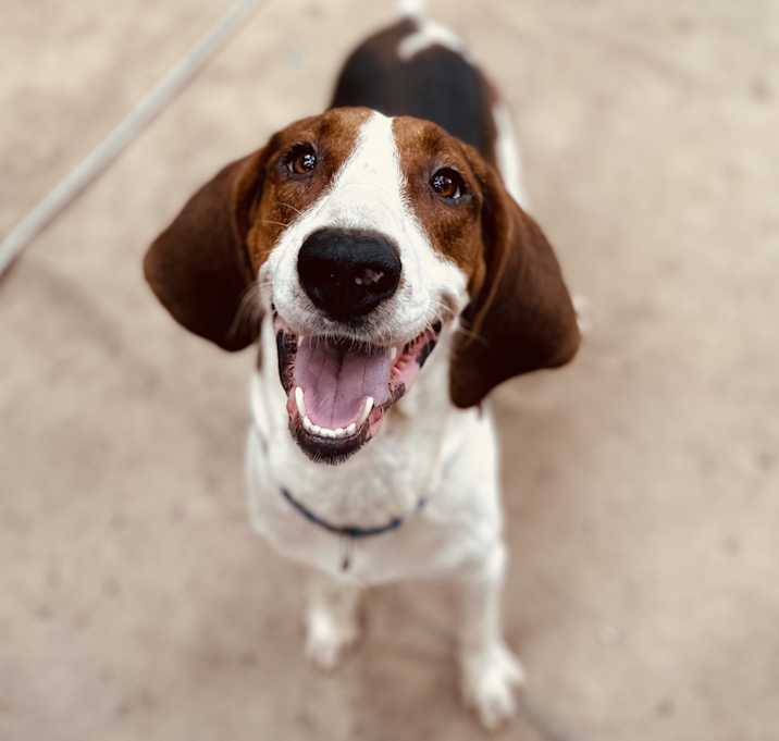 Photo of Reggie
