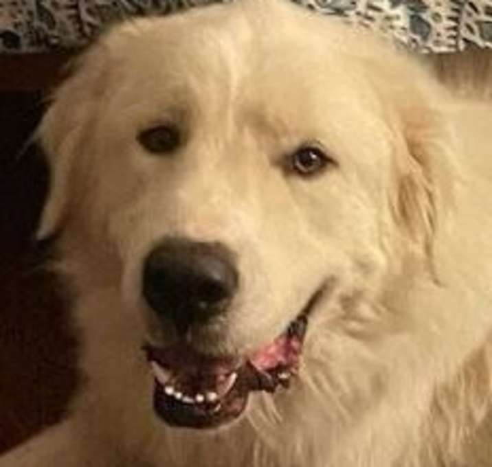 Photo of Sammy AKA Samuel