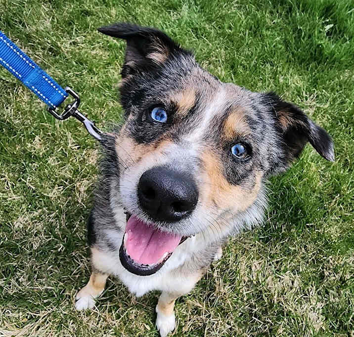 Photo of Bindi