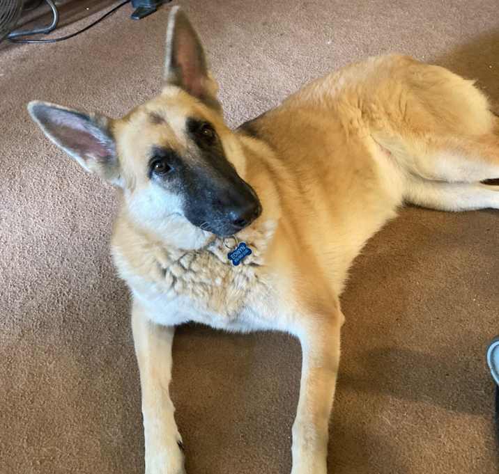 Photo of Eowyn