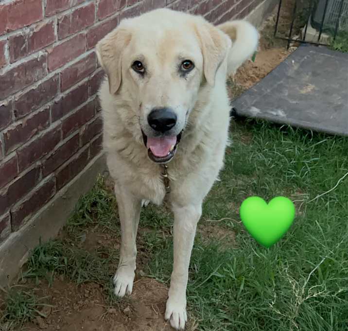 Photo of Charlie