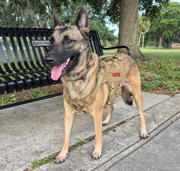 Photo of Malee - Located in Florida