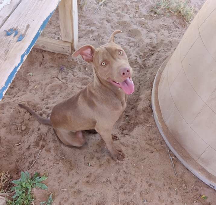Photo of Valerie