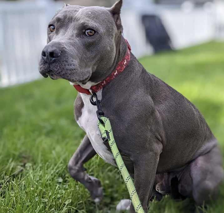 Photo of Nipsey