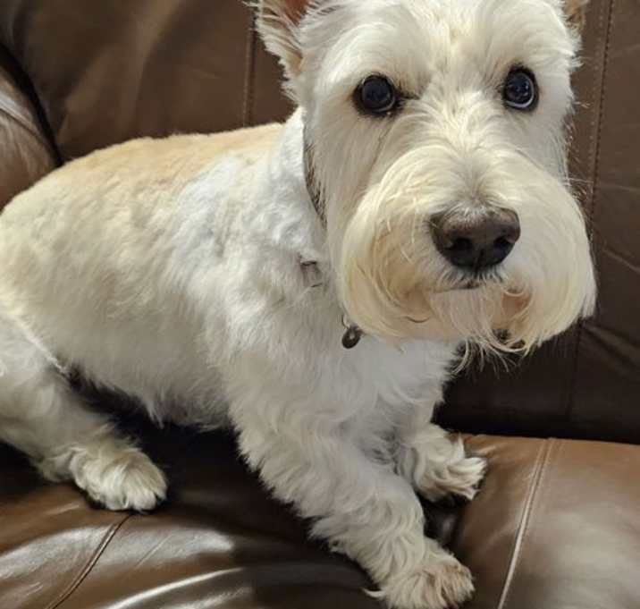 Photo of Finley