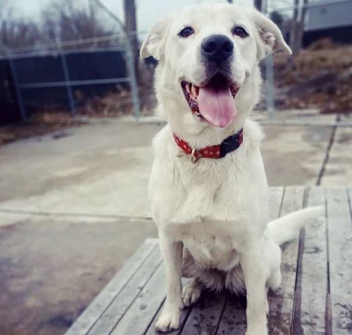 Photo of Maggie