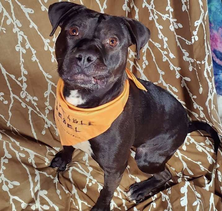 Photo of Hercules