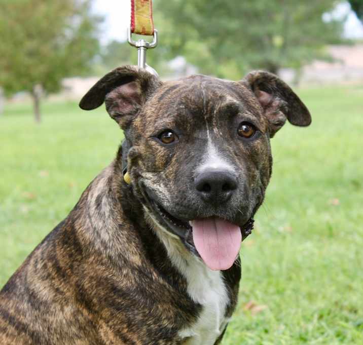Photo of Sammie Davis Jr