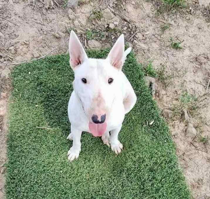 Photo of Clio