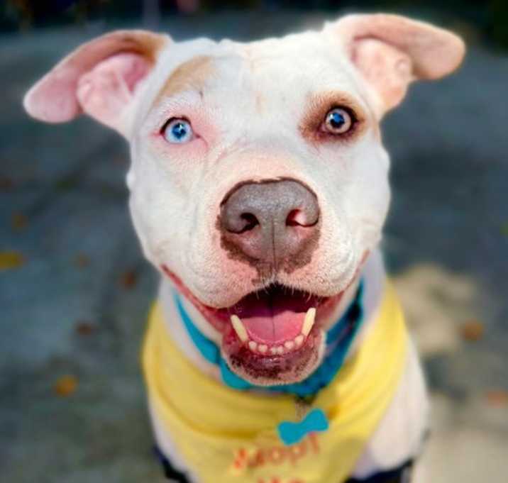 Photo of Leilani
