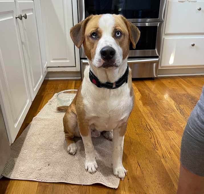 Photo of Gunther