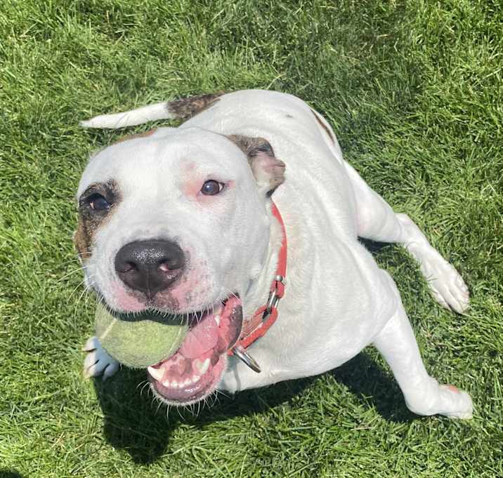 Photo of Debo