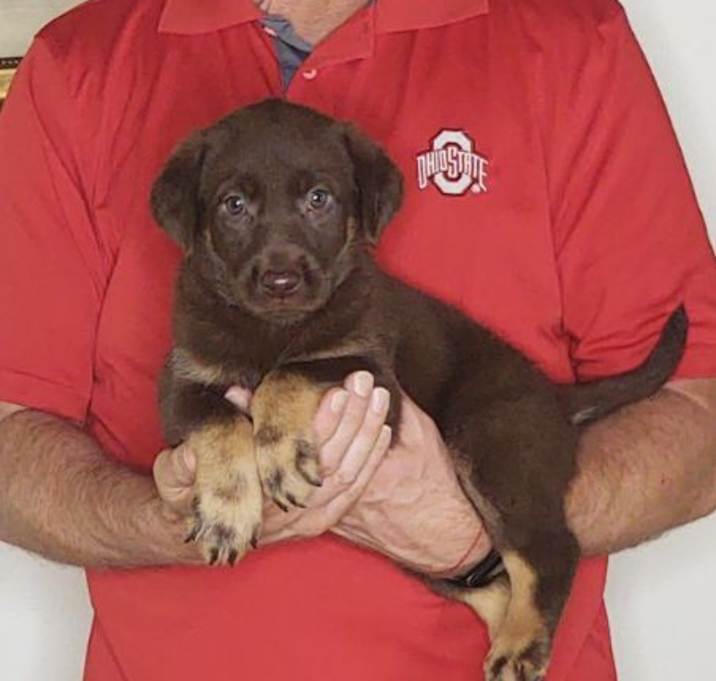 Photo of Minnie