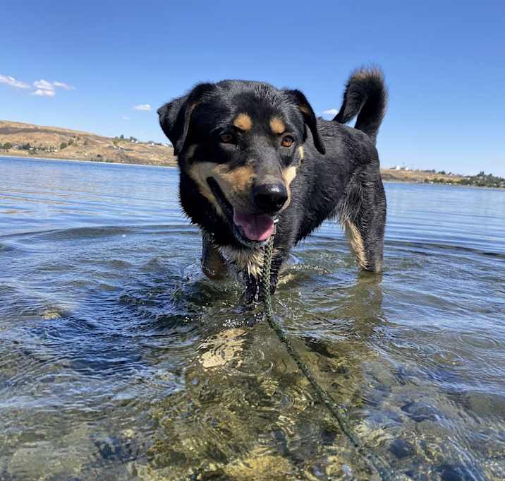 Photo of Ruby