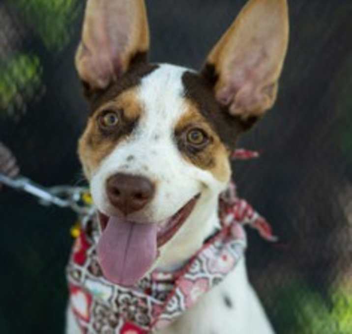 Photo of Chiquita