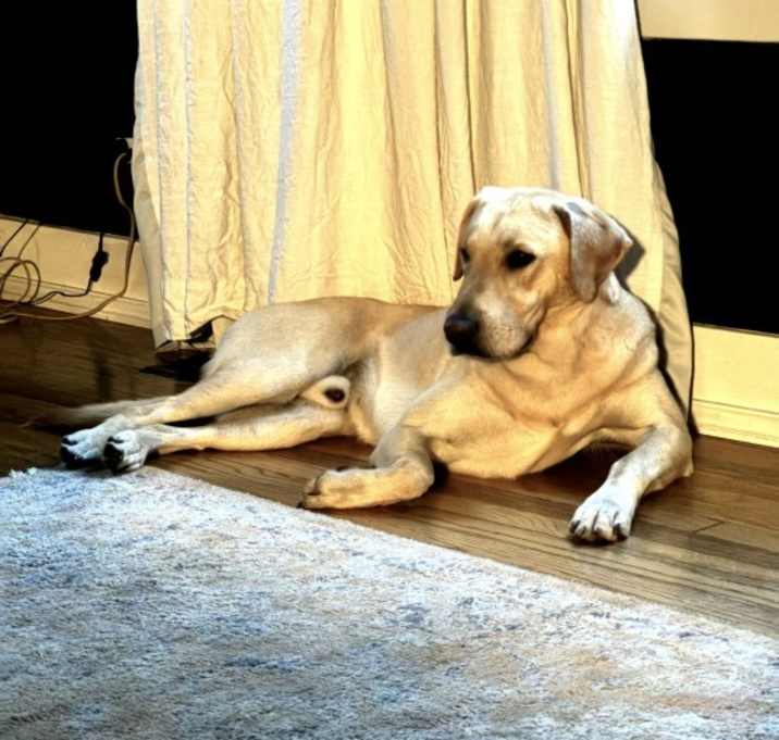 Photo of Herbo